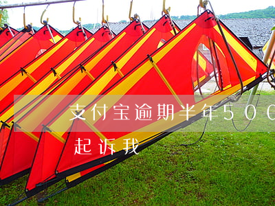 支付宝逾期半年500(支付宝逾期半年说要起诉我)