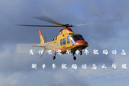 支付宝逾期半年被起诉怎么处理-支付宝逾期半年被起诉怎么处理的