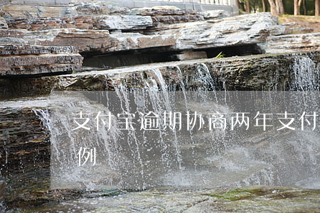 支付宝逾期协商两年(支付宝逾期协商成功案例)