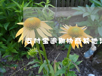 支付宝逾期协商其他凭证是什么-