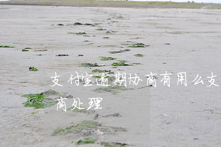 支付宝逾期协商有用么 支付宝逾期能不能协商处理?