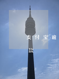 支付宝逾期协商还款填写（支付宝逾期协商还款）