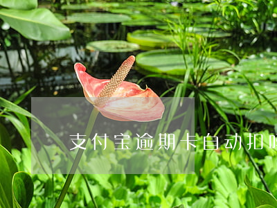 支付宝逾期卡自动扣吗(支付宝逾期秒扣)