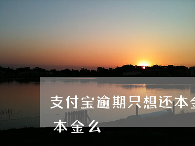 支付宝逾期只想还本金 支付宝逾期可以只还本金么