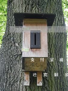 支付宝逾期叫全部还完 把支付宝逾期了全部还完剩余的是不是就按照正常的来还
