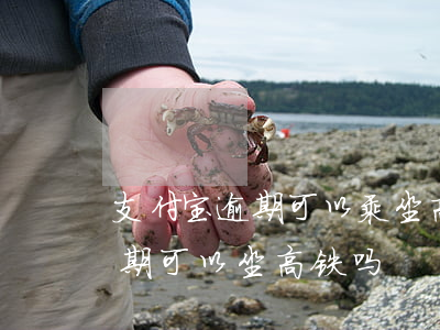 支付宝逾期可以乘坐高铁不-花呗支付宝逾期可以坐高铁吗