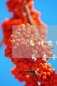 支付宝逾期可以买房子吗(支付宝逾期不还对买房子会有影响么)