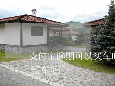 支付宝逾期可以买车吗(支付宝逾期过能贷款买车吗)