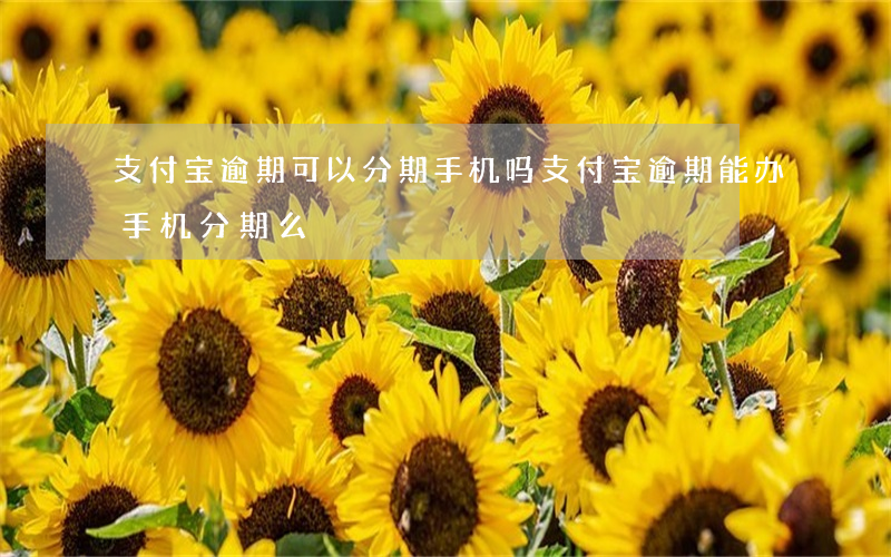 支付宝逾期可以分期手机吗(支付宝逾期能办手机分期么)