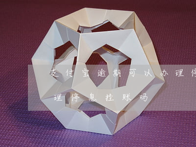 支付宝逾期可以办理停息挂账吗(支付宝能办理停息挂账吗)