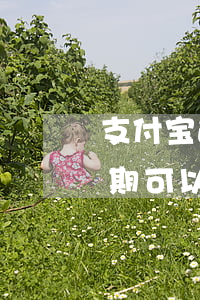 支付宝逾期可以协商只还本金吗?-支付宝逾期可以协商只还本金吗知乎