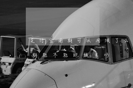支付宝逾期可以用饿了么点餐吗-支付宝逾期能不能跑饿了吗