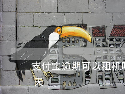 支付宝逾期可以租机吗(支付宝租手机逾期两天)