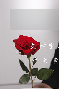 支付宝逾期可以跑滴滴么(支付宝滴滴出行可以欠费吗)