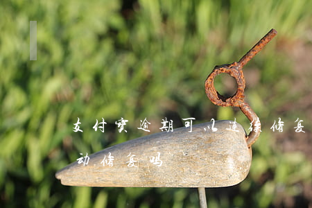 支付宝逾期可以连续修复吗 支付宝逾期会自动修复吗