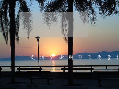 支付宝逾期可否商量利息减免