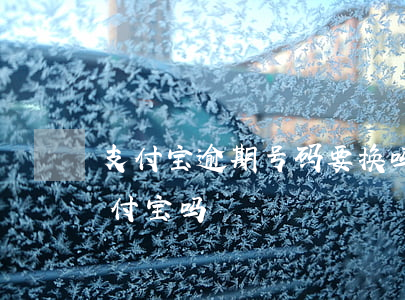 支付宝逾期号码要换吗(支付宝逾期能换个支付宝吗)