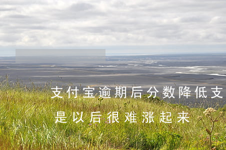 支付宝逾期后分数降低(支付宝逾期降分是不是以后很难涨起来)