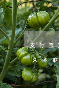 支付宝逾期后多久联系家里人(支付宝逾期多久会联系家人或朋友)