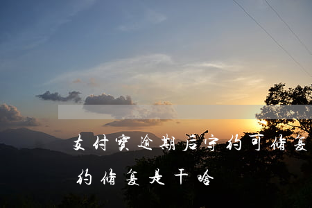支付宝逾期后守约可修复吗(支付宝逾期后守约修复是干啥)
