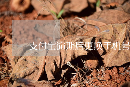 支付宝逾期后更换手机号催款