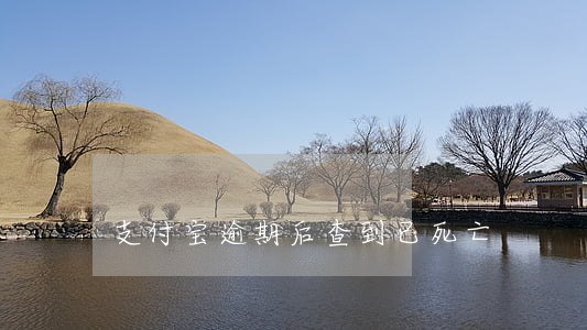 支付宝逾期后查到已死亡
