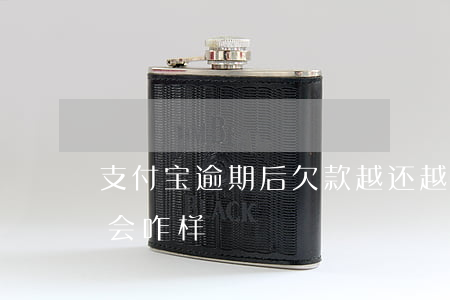 支付宝逾期后欠款越还越多(支付宝逾期还款会咋样)