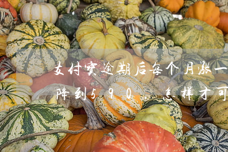 支付宝逾期后每个月涨一分(支付宝逾期分数降到590.怎样才可以奍回来)