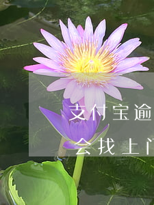 支付宝逾期后真的会上门吗(支付宝逾期会不会找上门)