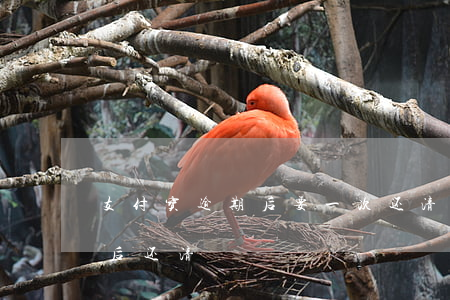 支付宝逾期后要一次还清（支付宝逾期3个月后还清）