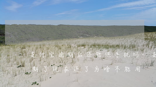 支付宝逾期后还能供手机吗-支付宝之前逾期了,现在还了,为啥不能用?