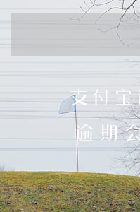 支付宝逾期哪里来的号码爆通讯录呢（支付宝逾期会爆支付宝通讯录吗）