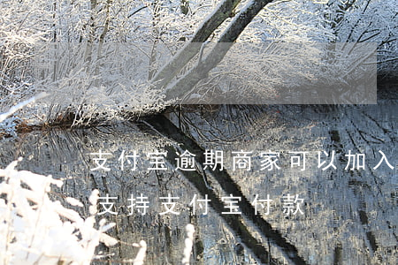 支付宝逾期商家可以加入饿了么吗(饿了吗不支持支付宝付款)