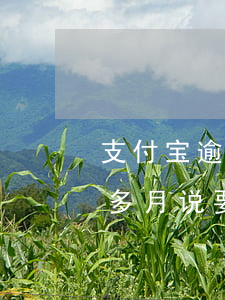 支付宝逾期四个月会上门吗(支付宝逾期四个多月说要上门调查)