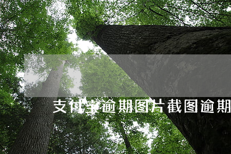 支付宝逾期图片截图（逾期支付宝图片）