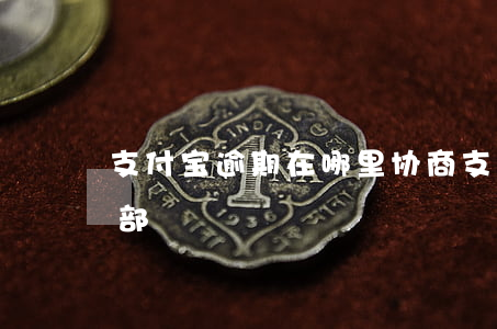 支付宝逾期在哪里协商（支付宝逾期移交到总部）