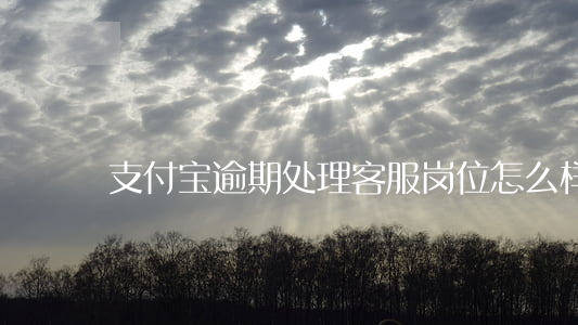 支付宝逾期处理客服岗位怎么样-