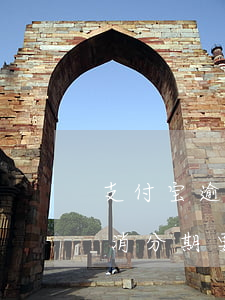 支付宝逾期多久会取消分期(支付宝逾期会取消分期要求一次性还清吗)