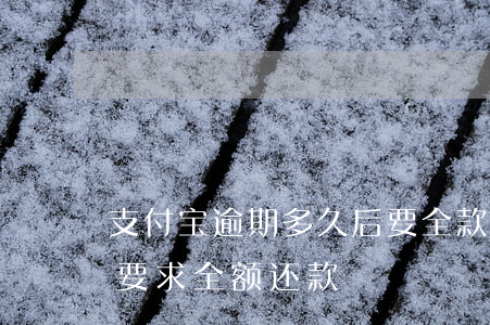 支付宝逾期多久后要全款还(支付宝逾期几天要求全额还款)