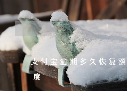 支付宝逾期多久恢复额度（支付宝逾期不涨额度）
