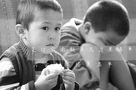 支付宝逾期多久才黑名单-支付宝逾期多久才会上征信黑名单