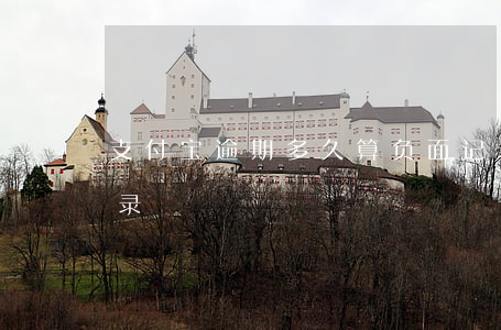 支付宝逾期多久算负面记录(支付宝的逾期记录)