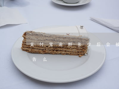 支付宝逾期多少后会被起诉(支付宝逾期会被告么)