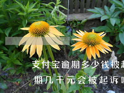 支付宝逾期多少钱,被起诉后会怎样（支付宝逾期几千元会被起诉吗）