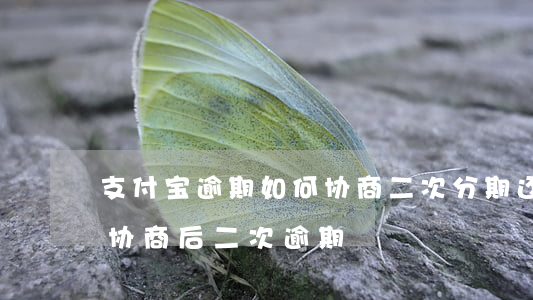 支付宝逾期如何协商二次分期还款-支付宝协商后二次逾期