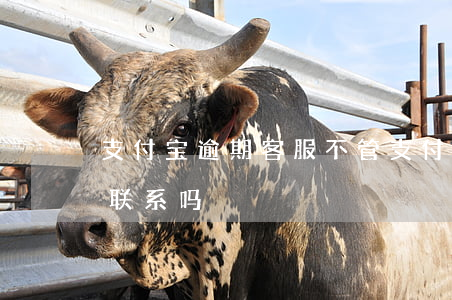 支付宝逾期客服不管 支付宝逾期可以跟客服联系吗