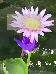 支付宝逾期家里人知道来好想哭-支付宝逾期通知家里人吗?