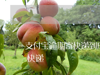 支付宝逾期寄快递到户籍地吗（支付宝逾期寄快递）