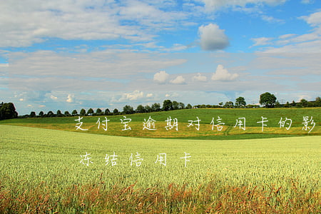 支付宝逾期对信用卡的影响-支付宝逾期会冻结信用卡