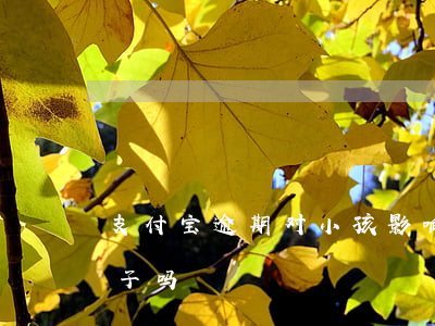 支付宝逾期对小孩影响(支付宝逾期影响一辈子吗)